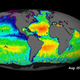Image for article titled Aquarius satellite reveals saltiness of all the world's oceans